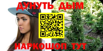 PSILOCYBIN Новодвинск